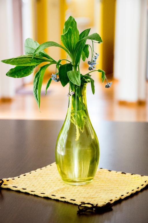Ramybes Uostas Guest House Svedriske Ngoại thất bức ảnh